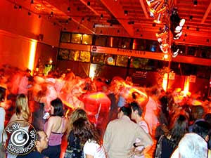 Salsafeverdays D�sseldorf